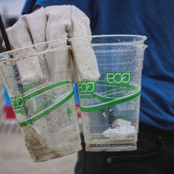 ręka trzymająca ubrudzone i opiaszczone plastikowe kubeczki jednorazowe z napisem eco);